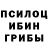 Галлюциногенные грибы мухоморы Dodi Gustiyawan