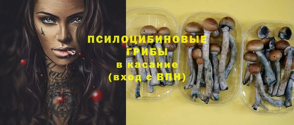 ПСИЛОЦИБИНОВЫЕ ГРИБЫ Абдулино