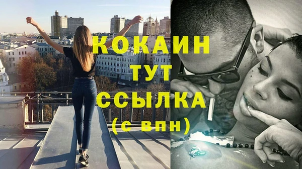 гидра Алексин