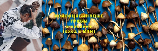 скорость Абинск