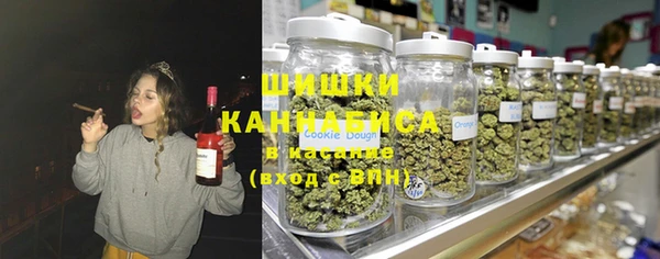 гидра Алексин