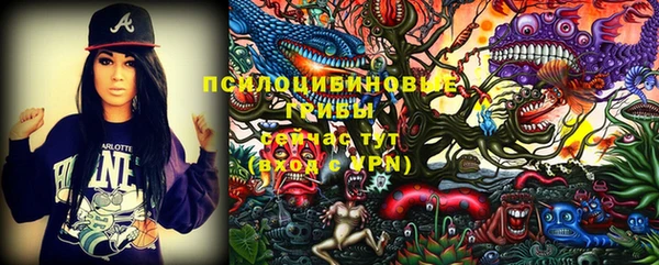 ПСИЛОЦИБИНОВЫЕ ГРИБЫ Абдулино