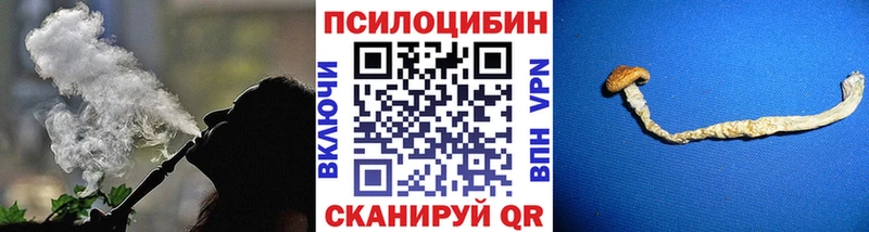 omg зеркало  Туран  Псилоцибиновые грибы Psilocybine cubensis 