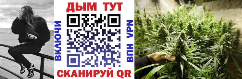 Канабис MAZAR Туран
